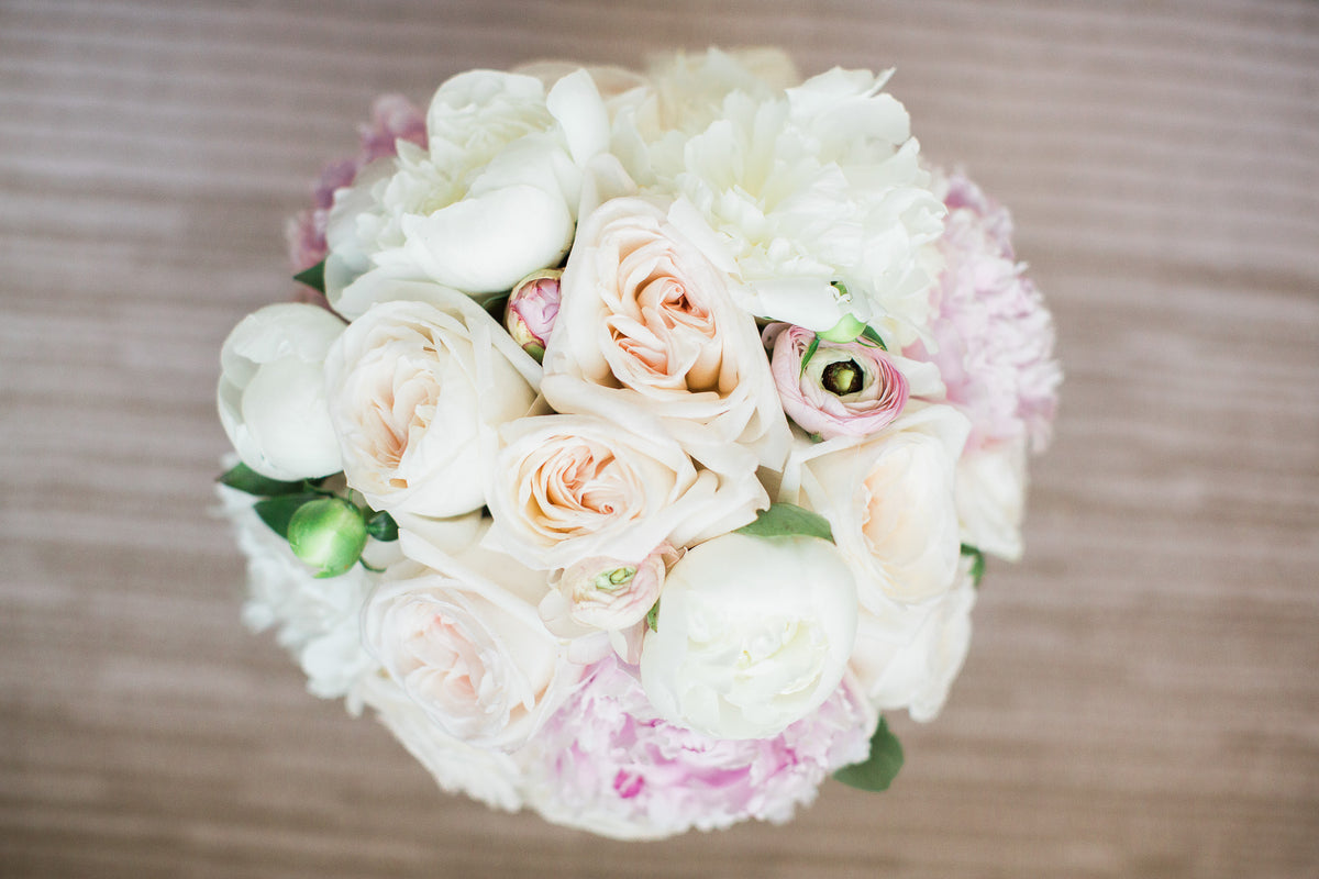 Peony, Gardenia Rose