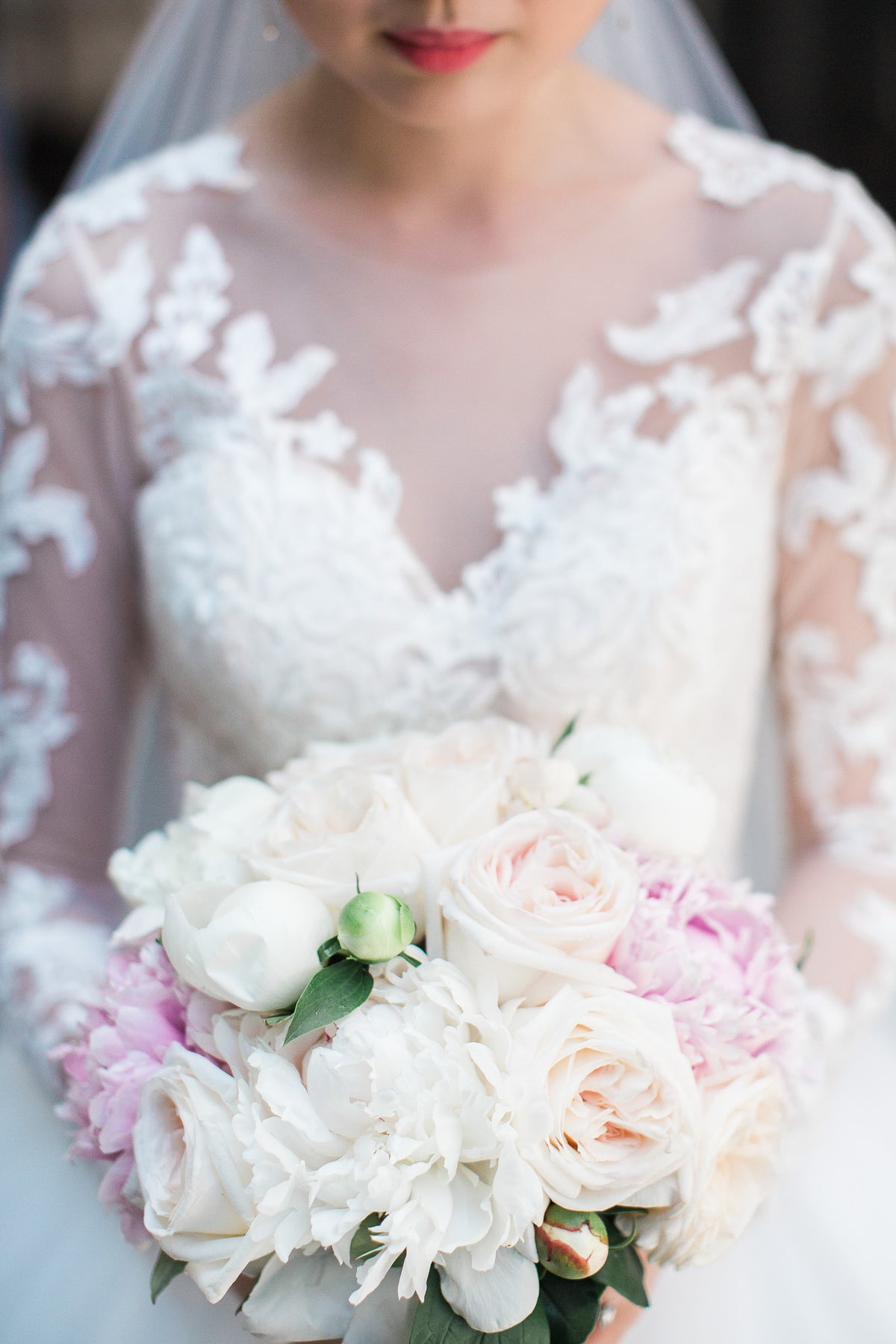 Peony, Gardenia Rose